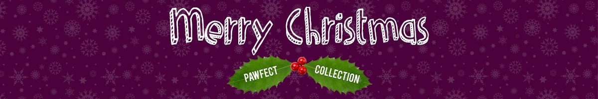 christmas_banner_website